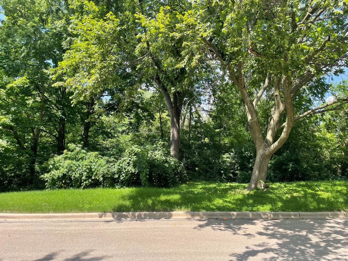 Property from Lot 4 Manchester Avenue - KW - Batavia, Illinois, 60510
