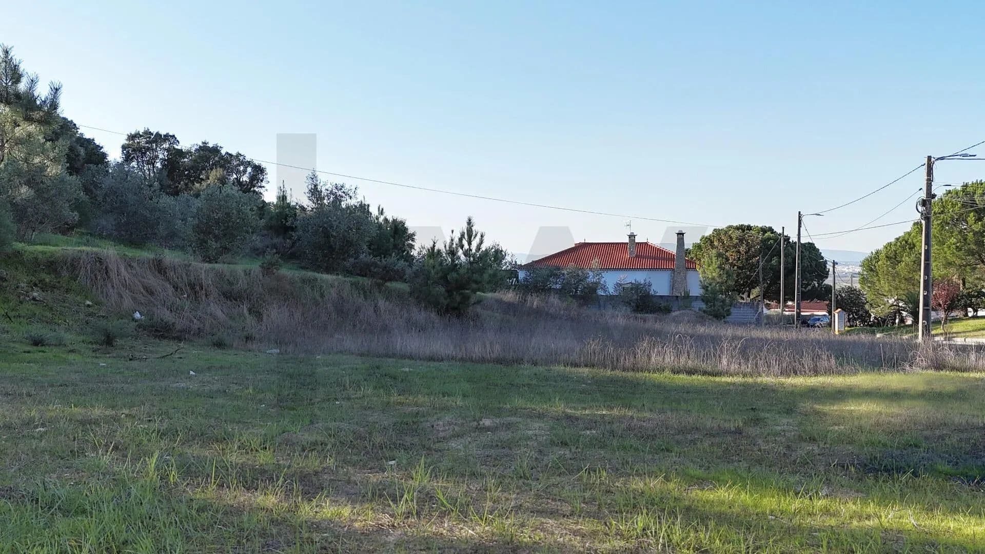 279 Acres of Land for Sale in Carregueira, Chamusca - land for sale