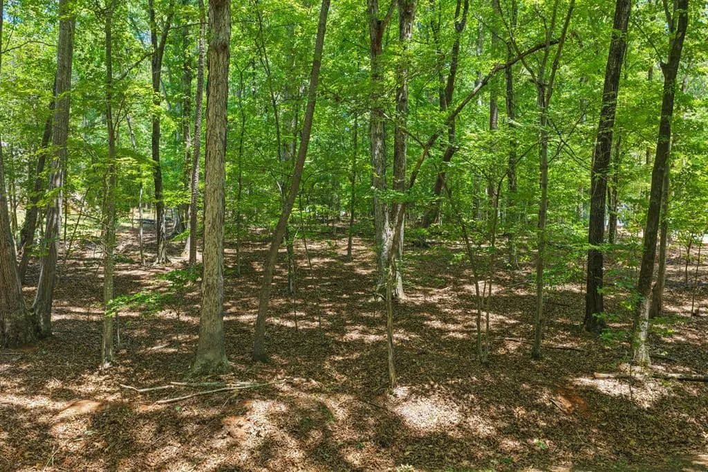0.62 Acres of Land for Sale in Clarksville, Virginia - Clarksville, Virginia, 23927