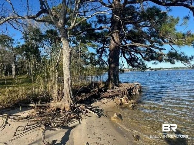 Lots & Land-Other in Lillian - land for sale