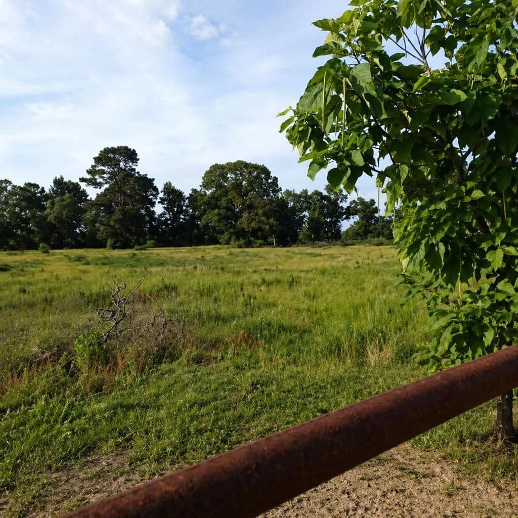Property from 656 Fm 1970 - KW - Timpson, Texas, 75975