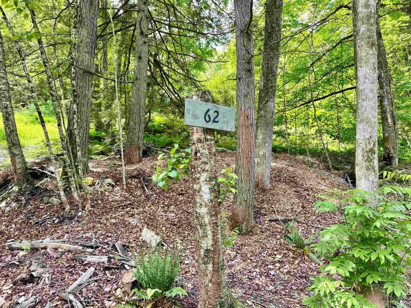 Property from 62 Foundry Road - KW - Tunbridge, Vermont, 5077