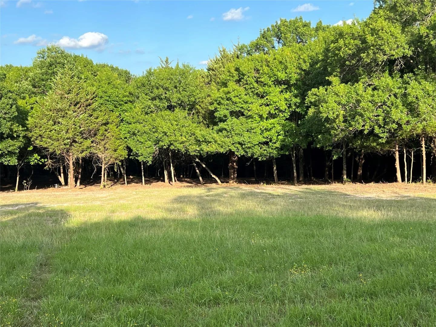 Property from TBD Lot 22 Ridgecrest Drive - KW - Waxahachie, Texas, 75165