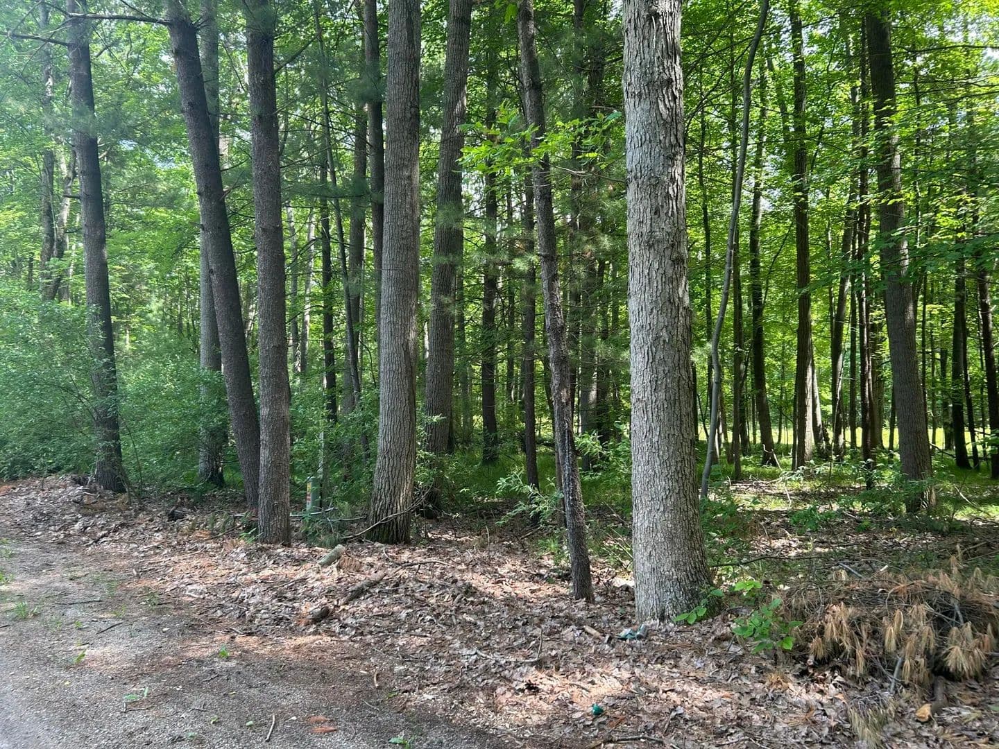 Lots & Land-Other in Canadian Lakes - Canadian Lakes, Michigan, 49346