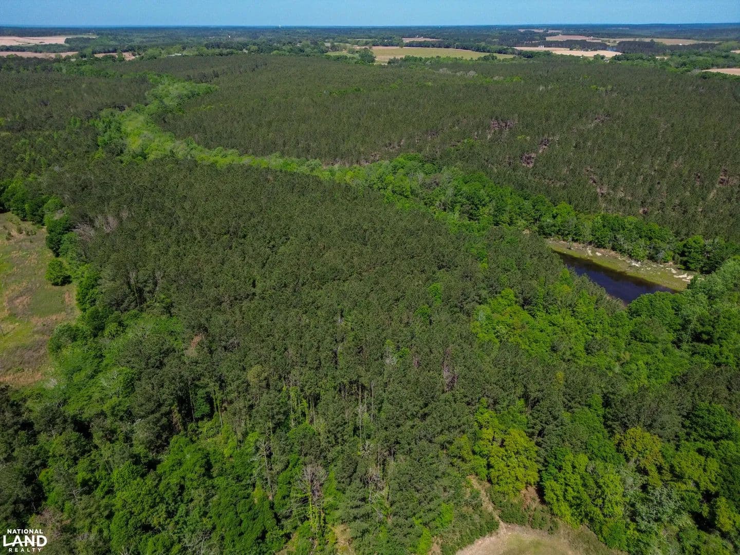 River Falls Homesite Timber and Hunting Tract - Red Level, Alabama, 36474