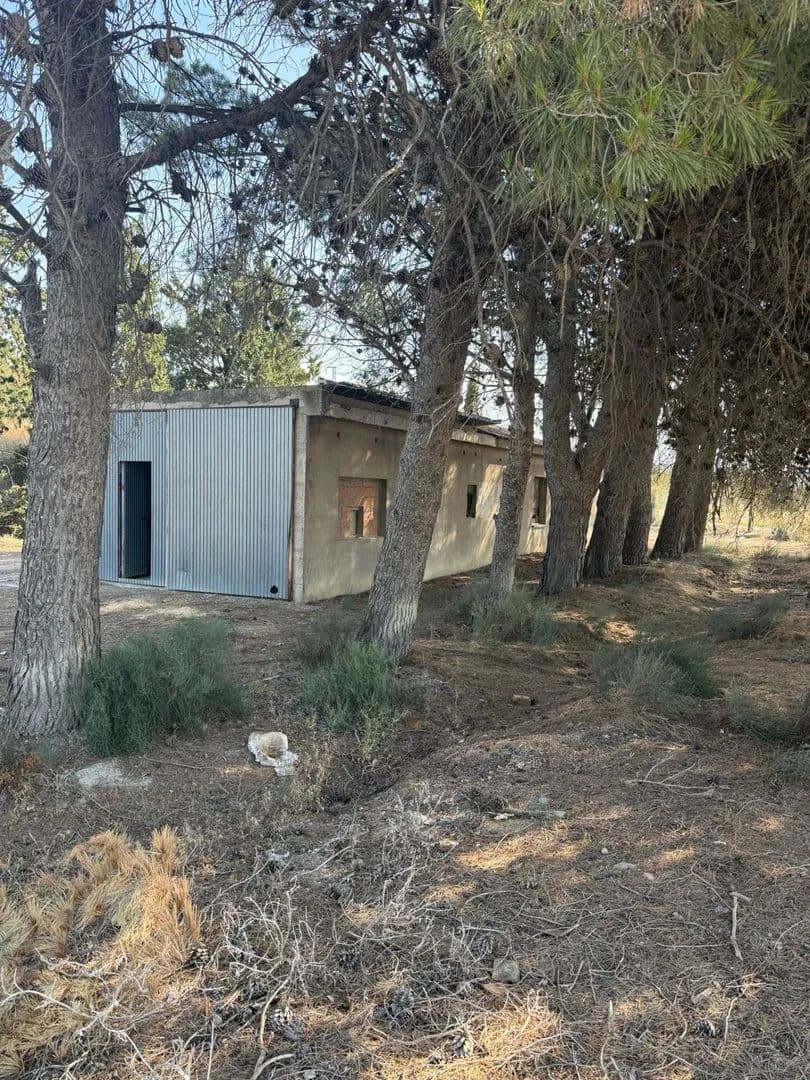 Land for Sale in Osera de Ebro, 7 - land for sale