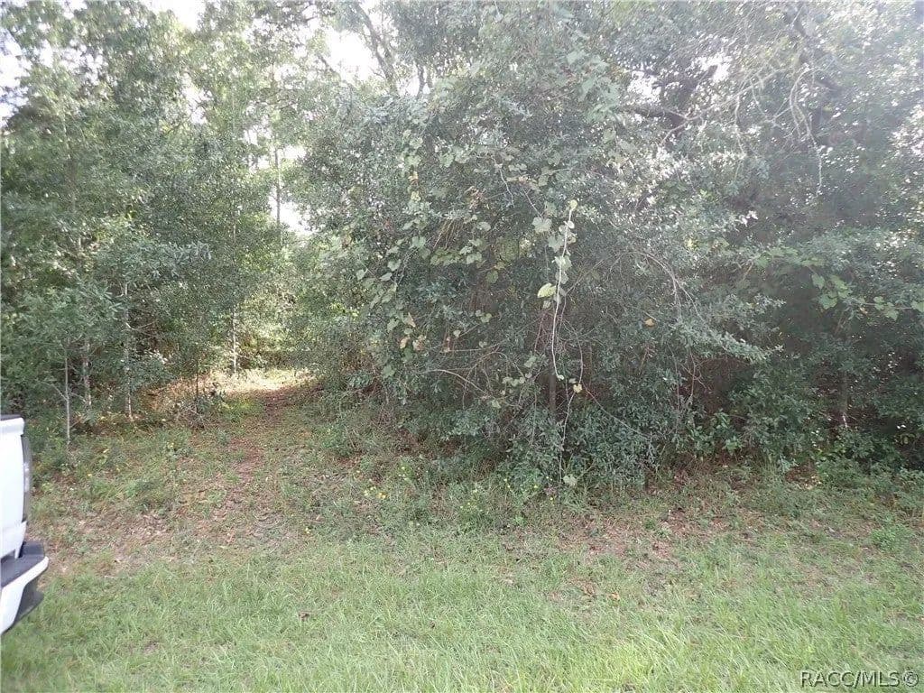 Lots & Land-Other in Lecanto - Lecanto, Florida, 34461