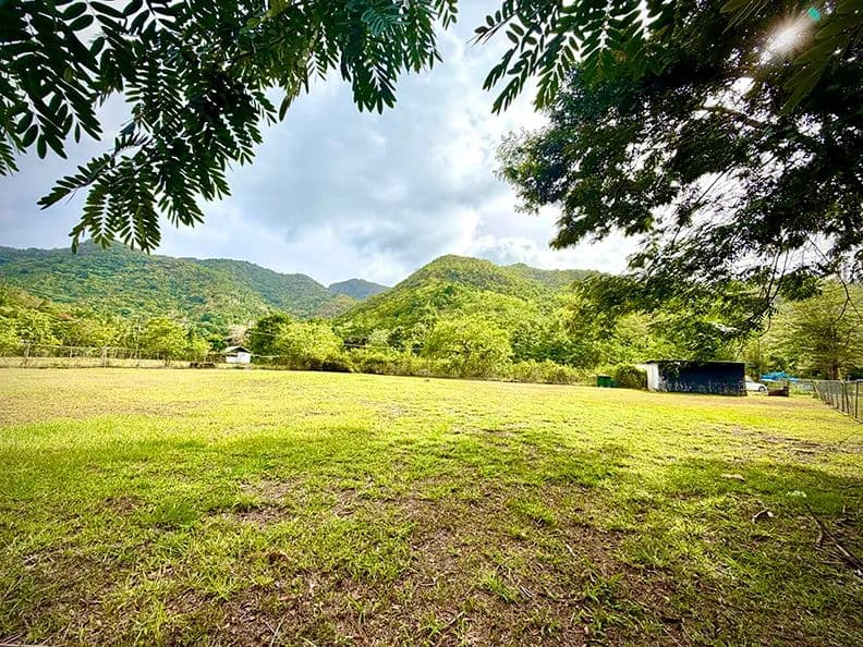 1077 Acres of Land for Sale in Cayey - land for sale