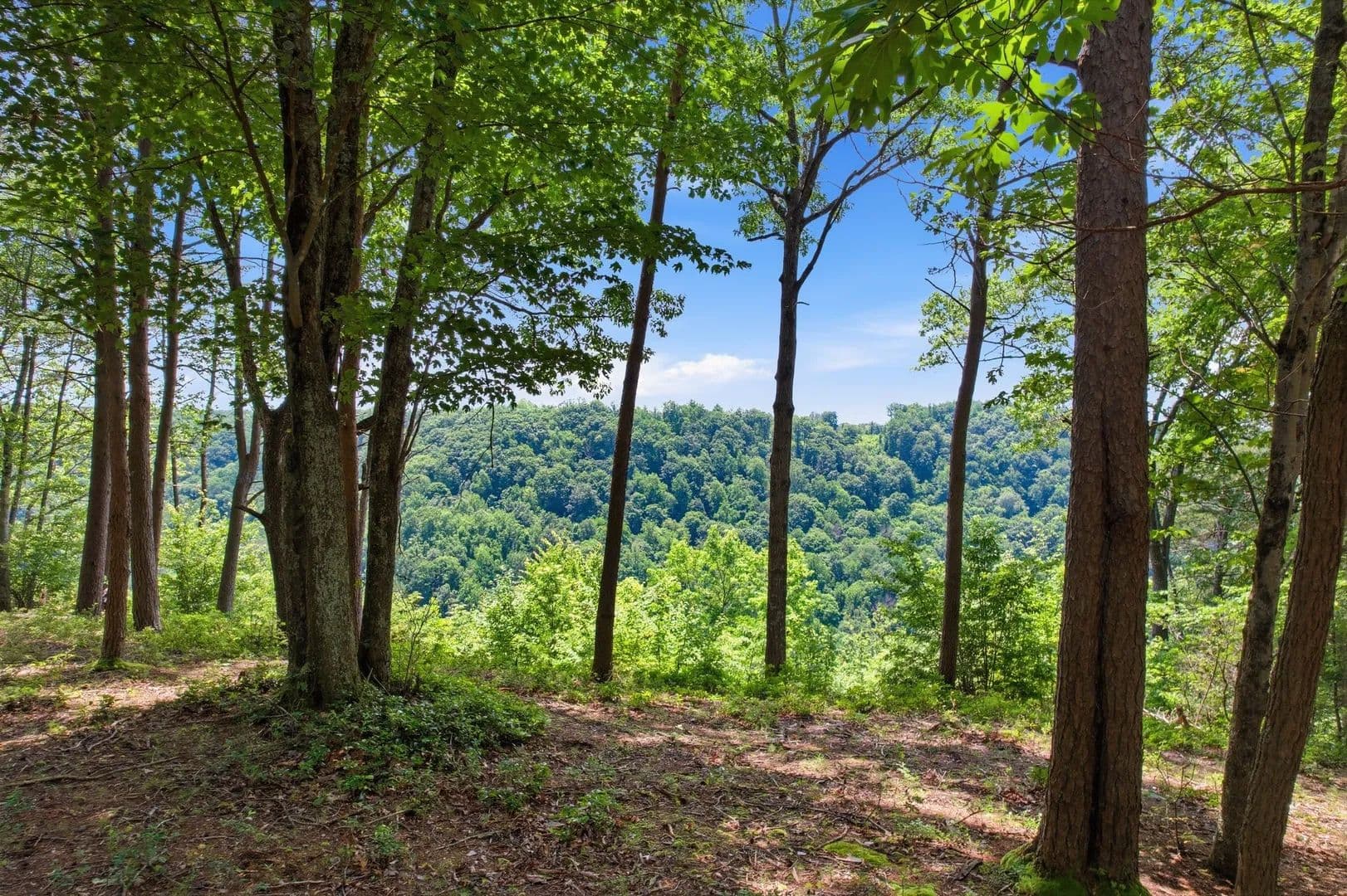 Property from 321 Timberwood Trce - KW - Monteagle, Tennessee, 37356