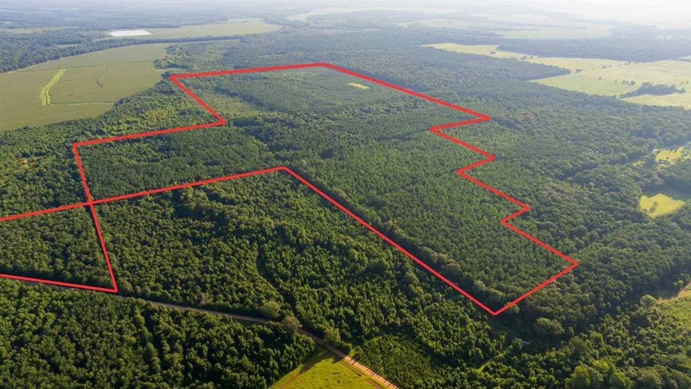 Jelks Bayou 360 - Timber and Hunting Investment Morehouse Parish - Bastrop, Louisiana, 71222