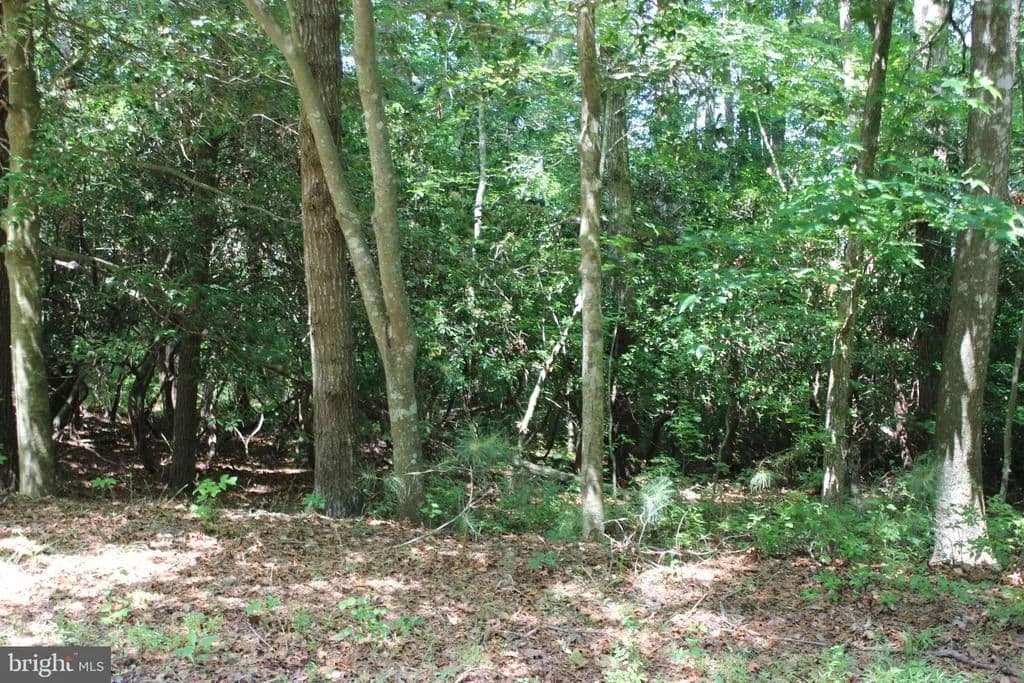 Property from 1950 BUCCANEER BOULEVARD - KW - Greenbackville, Virginia, 23356