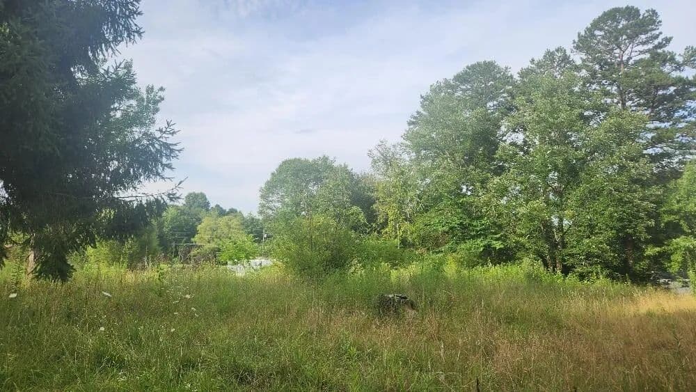 Property from 181 51st Avenue - KW - Gruetli Laager, Tennessee, 37339