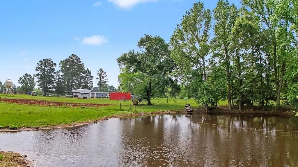 27.69 Acres of Land for Sale in Douglass, Texas - Douglass, Texas, 75943