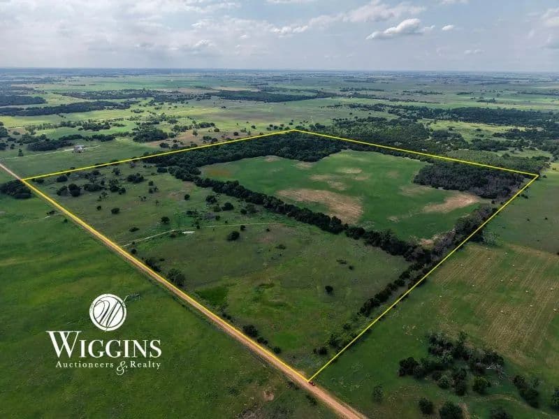 8/13 - 160 +/- Acres | Good Sm. Grain/Livestock Land w/ Hunting Potential | Cleo Springs/Aline Area, Major Co., OK - Oklahoma, 73716