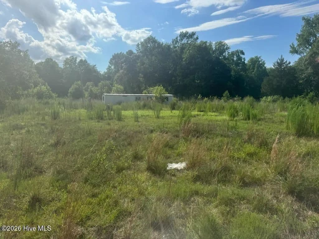 2.5 Acres of Land for Sale in Magnolia, NC - Magnolia, North Carolina, 28453