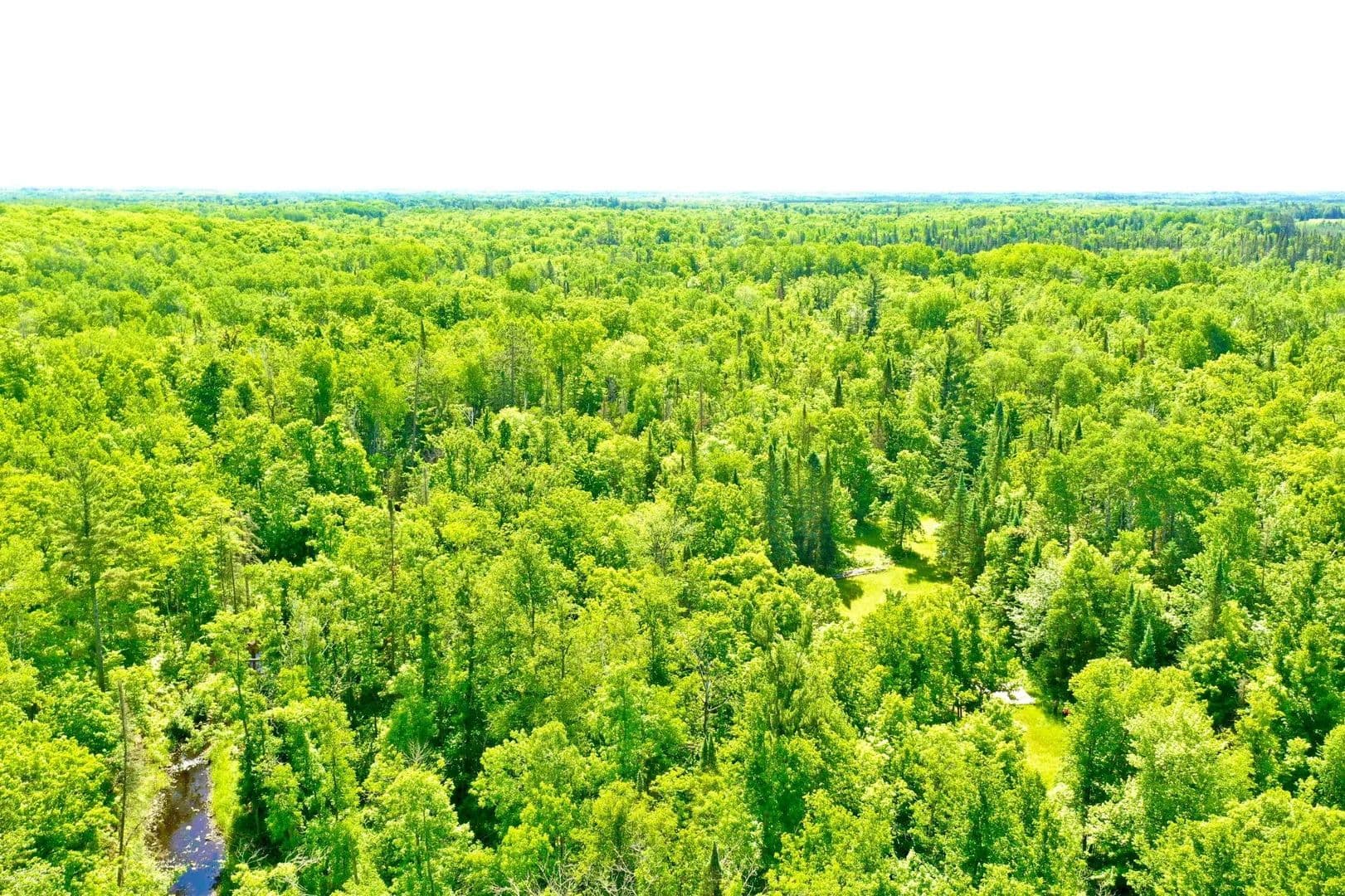 120 Acres of Land for Sale in Willow River, MN - Willow River, Minnesota, 55795