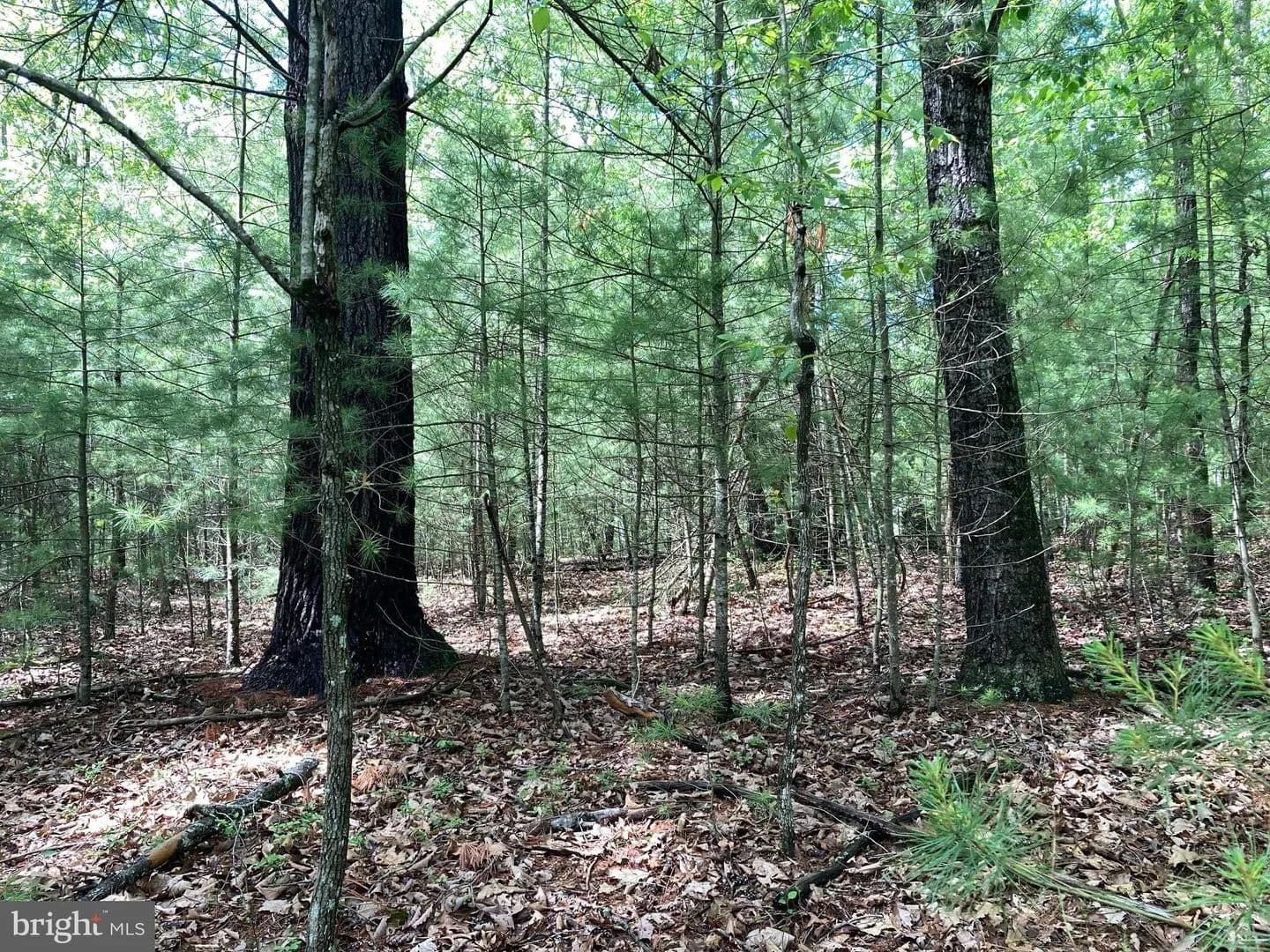 Lots & Land-Other in CAPON BRIDGE - Capon Bridge, West Virginia, 26711