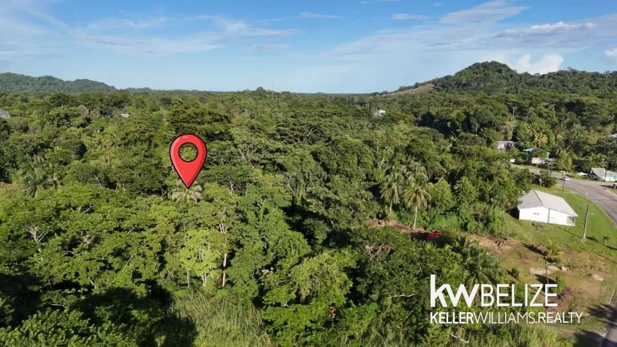 4 Acres on the Southern Highway Eldridgeville - land for sale