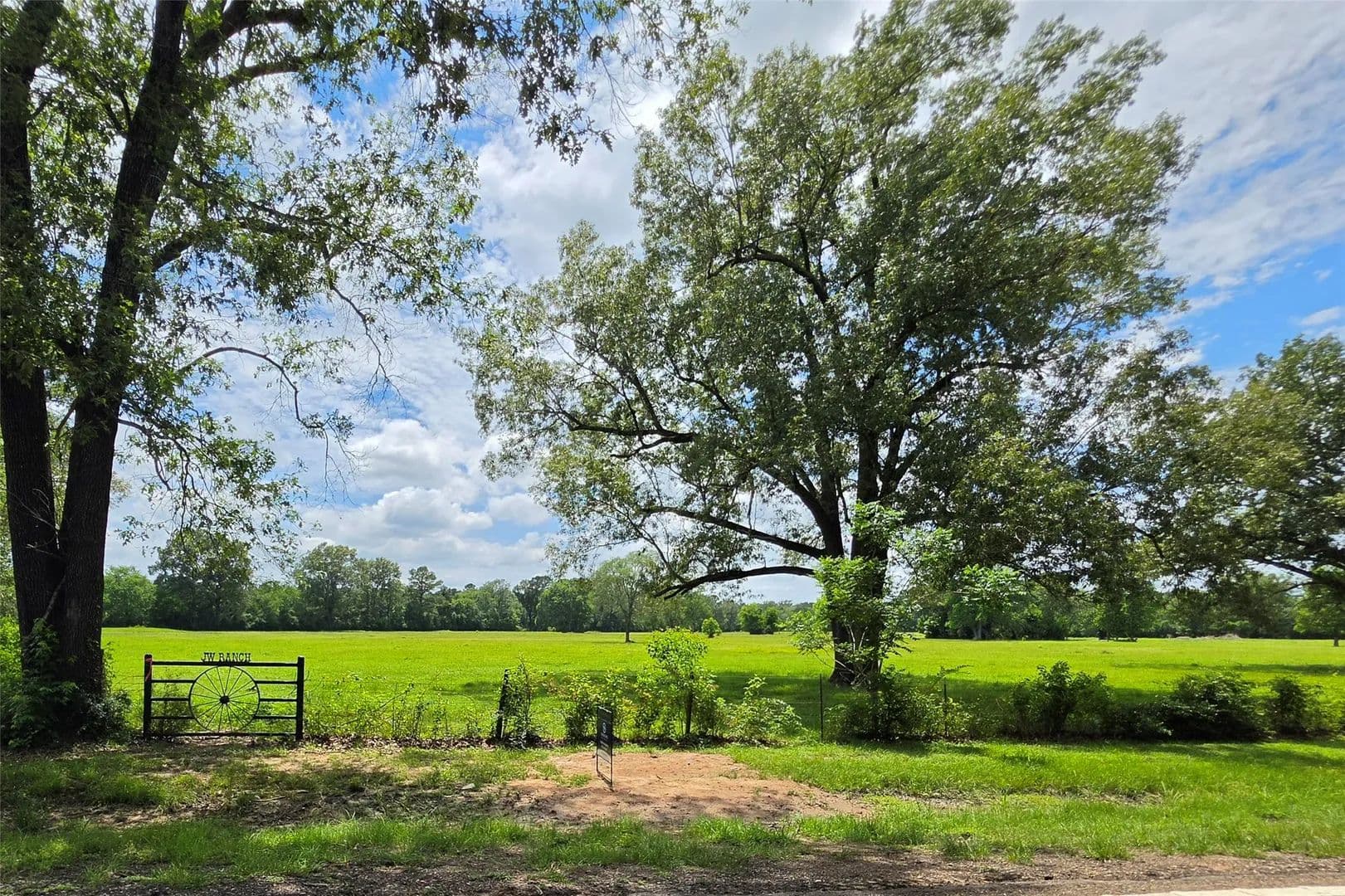 11.33 Acres of Land for Sale in Lovelady, Texas - Lovelady, Texas, 75851
