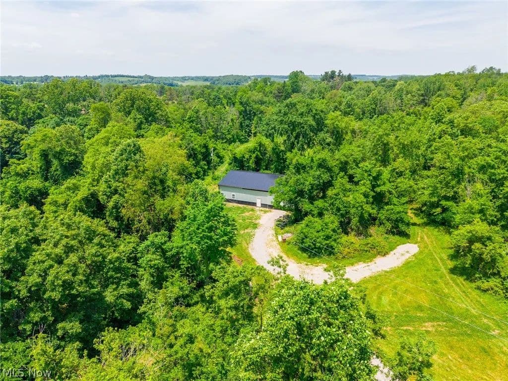 80 Acres of Land for Sale in Belmont County, Ohio - Ohio, 43950