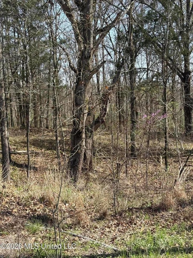 Property from 0 Nolan Road - KW - Olive Branch, Mississippi, 38654