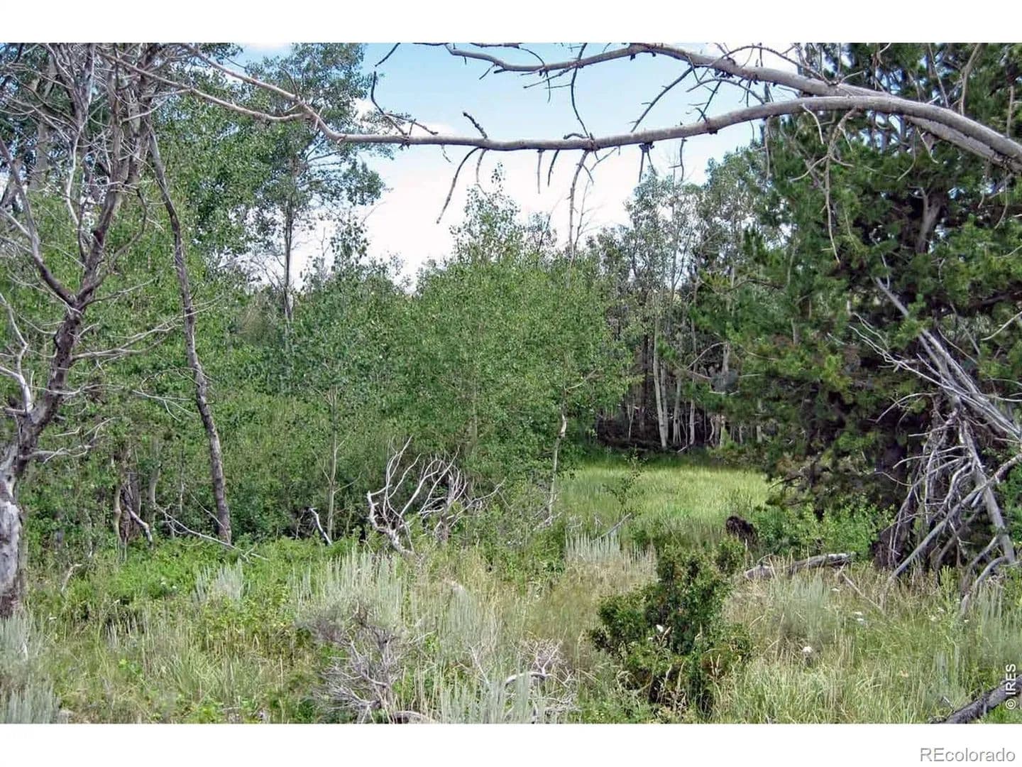 Property from Wilderness Ranch Road - KW - , Colorado, 82070