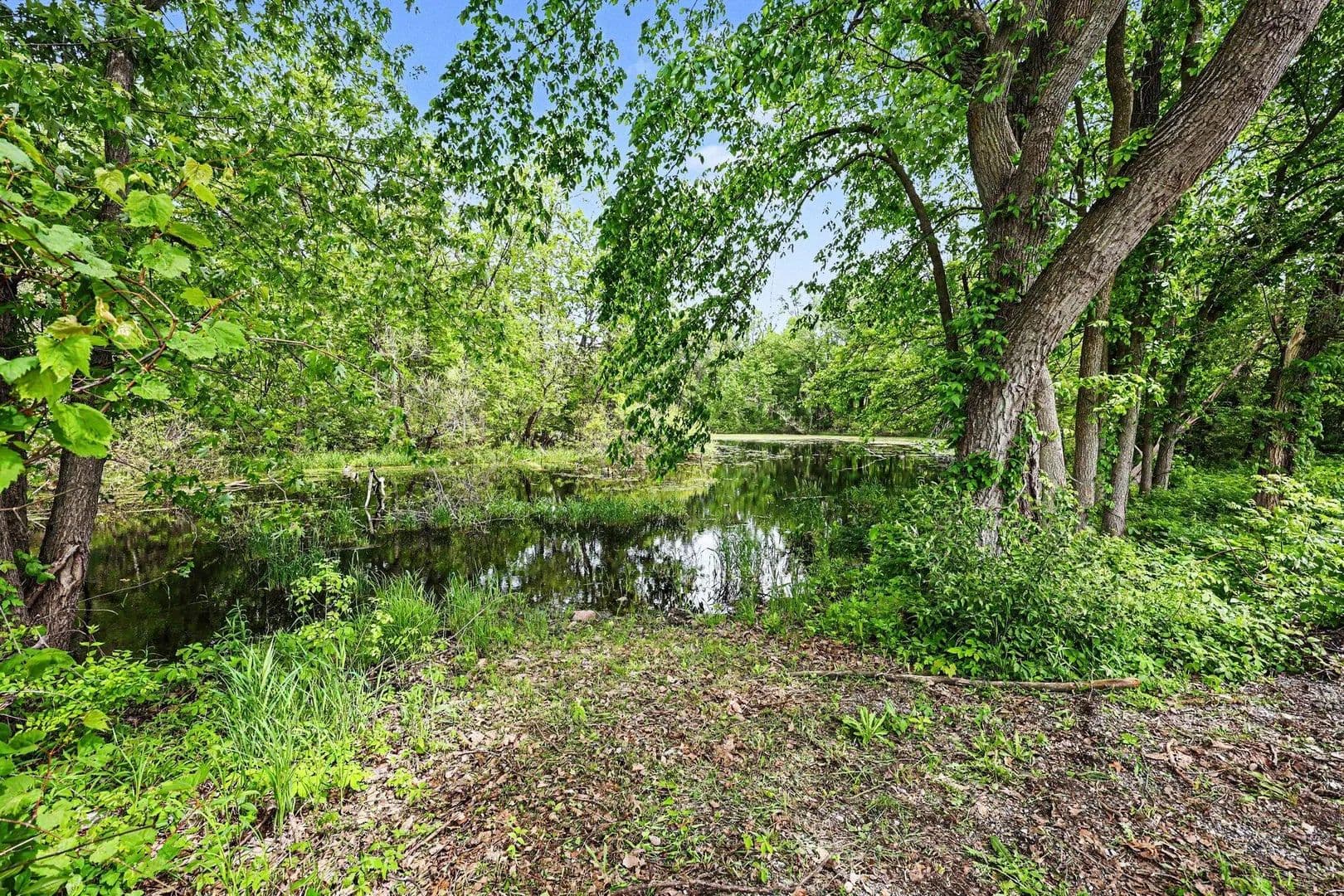 Property from Sooten Road - KW - Manchester, Michigan, 48158