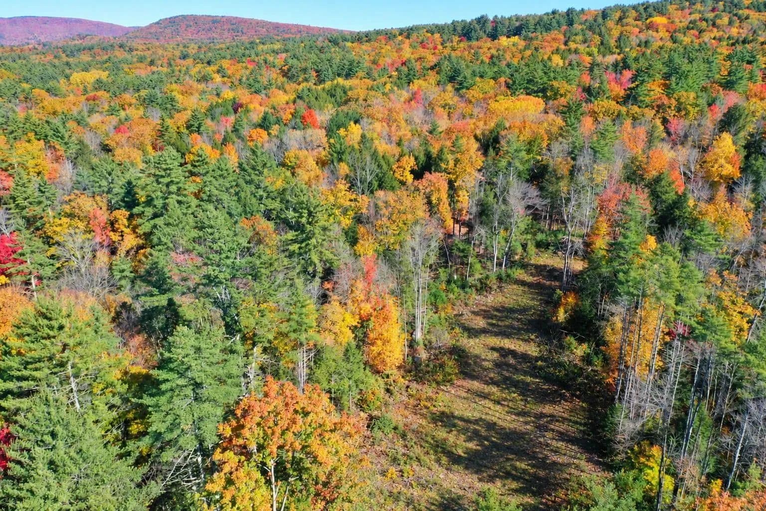 7.47 Acres of Land for Sale in Alton, NH - Alton, New Hampshire, 03809