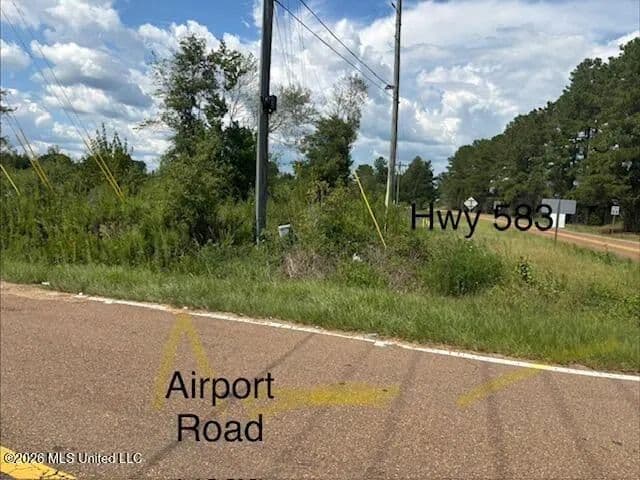 20 acres near Tylertown, Mississippi - land for sale