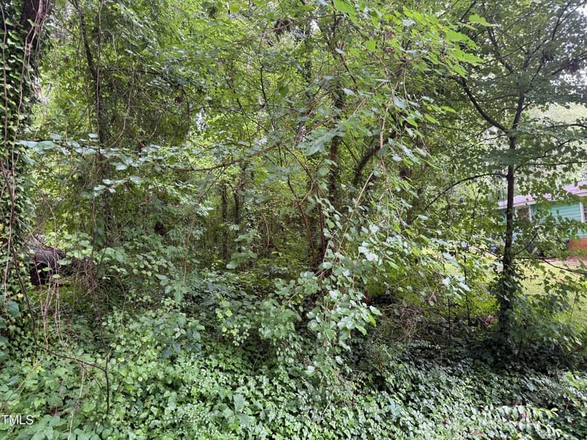 Vacant Land in Henderson