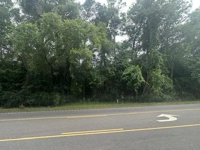 2.5 Acres of Land for Sale in Eight Mile, Alabama - Eight Mile, Alabama, 36613