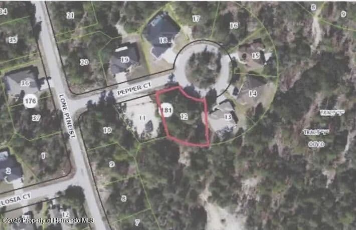 Vacant Land in Homosassa - Homosassa, Florida, 34446