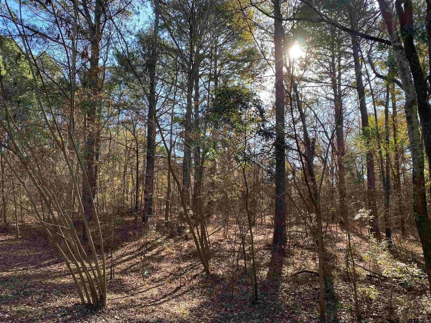 Property from Lot 11 Carene #Lot 11 Carene - KW - Frankston, Texas, 75763