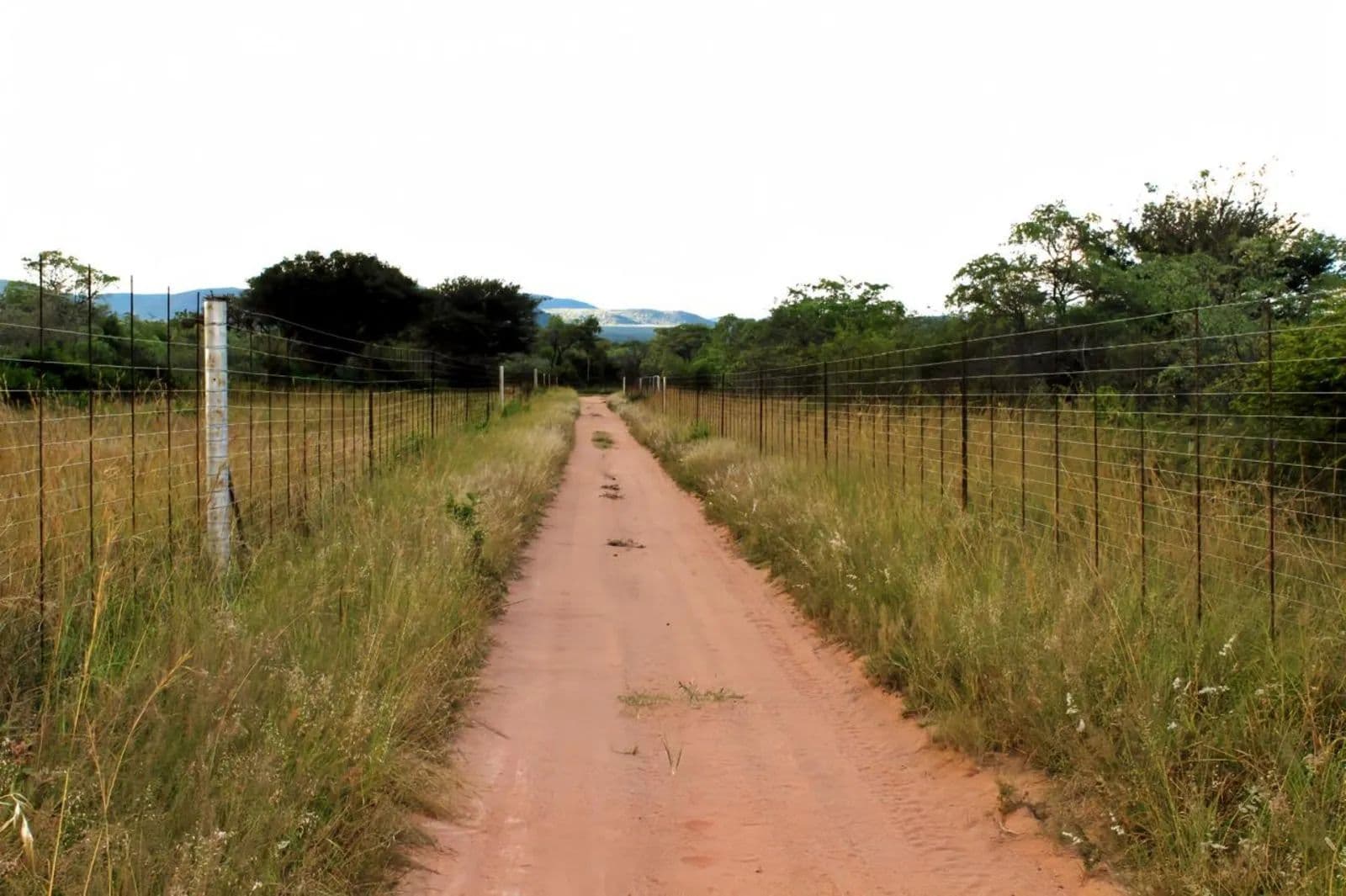 Land for Sale in Mookgopong, Limpopo - land for sale