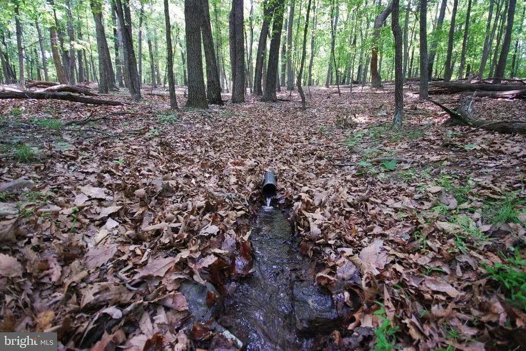 Property from Lot 67 MILL MOUNTAIN ROAD - KW - Romney, West Virginia, 26757