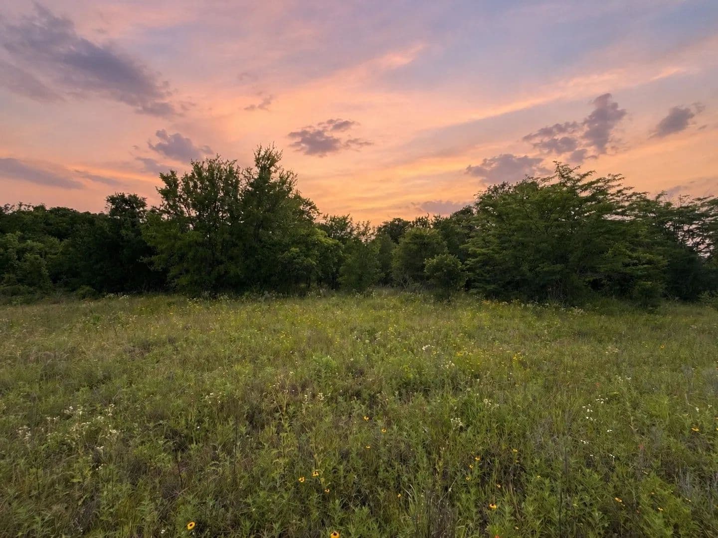 20.72 Acres of Land for Sale in De Leon, Texas - De Leon, Texas, 76444