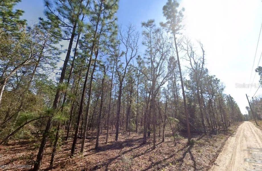 Property from HILLS ROAD - KW - Melrose, Florida, 32666