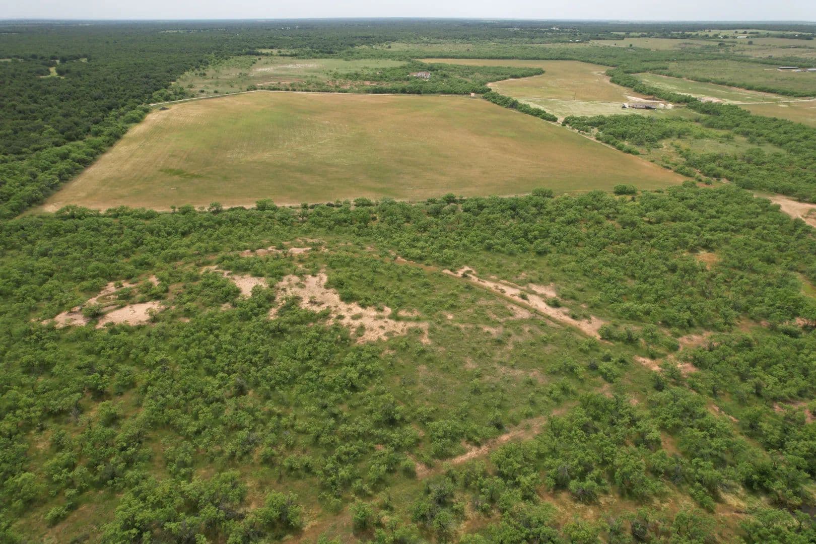 Under Contract - 95+/- Acres, TBD PR 3561, Anson - land for sale