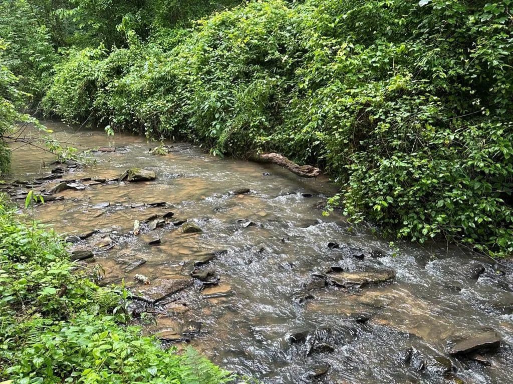 Property from Lot 103 Rhondas Way - KW - Ellijay, Georgia, 30540