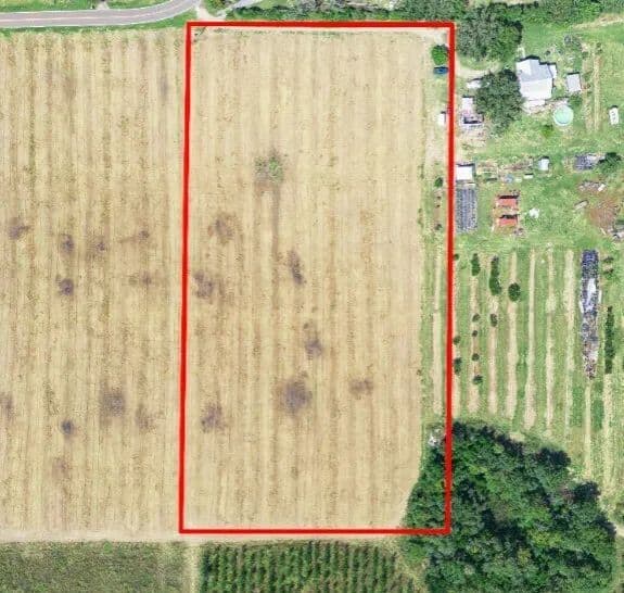 5-Acre Homesite on Golden Bough Road | Privacy & Convenience Lot 1 - land for sale