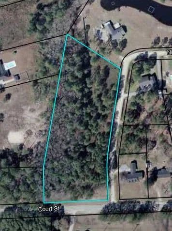 Property from 0 Lisa Road - KW - Homerville, Georgia,