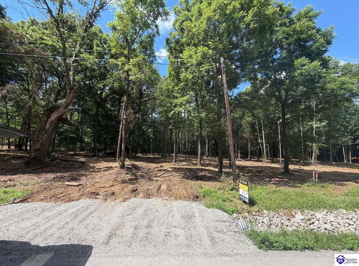 4.44 Acres of Land for Sale in Rineyville, KY - Rineyville, Kentucky, 40162