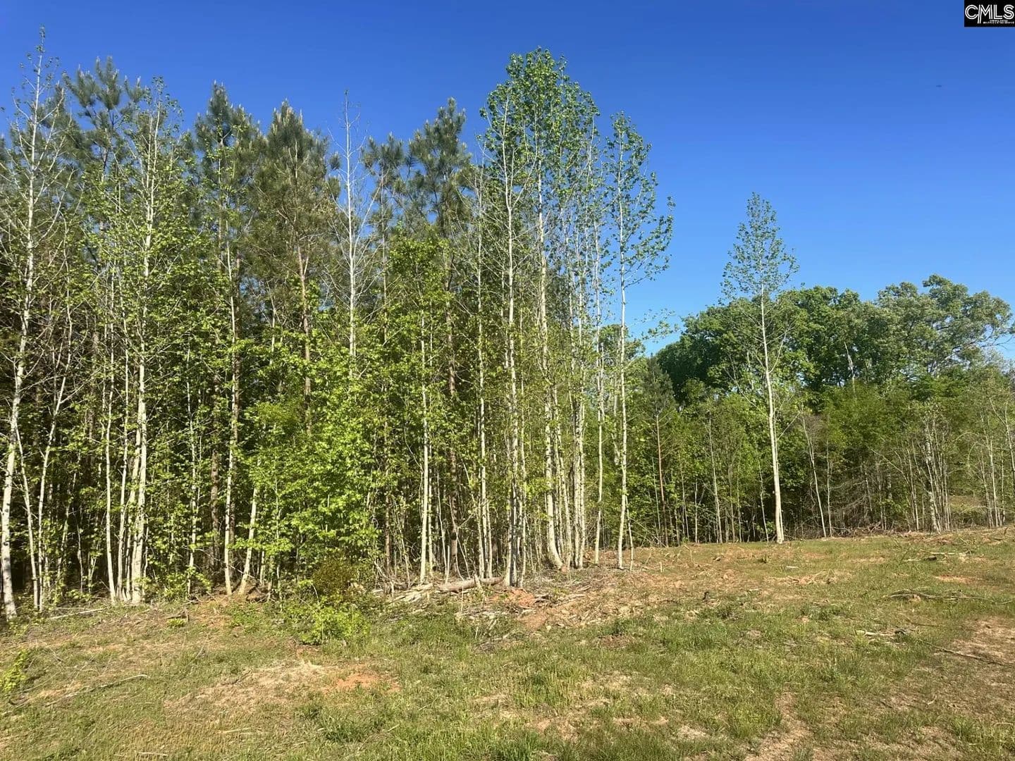Vacant Land in Pomaria - Pomaria, South Carolina, 29126