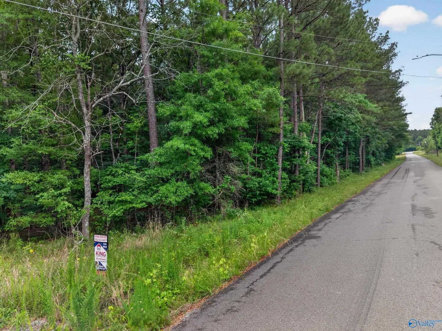 Property from 2 lots Christopher Avenue - KW - Southside, Alabama, 35907
