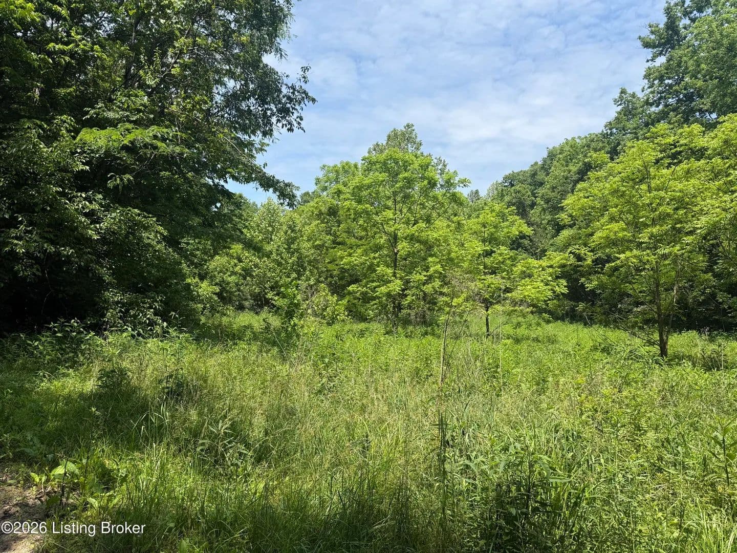 Property from 0 Edgar Basham Rd - KW - Irvington, Kentucky, 40146
