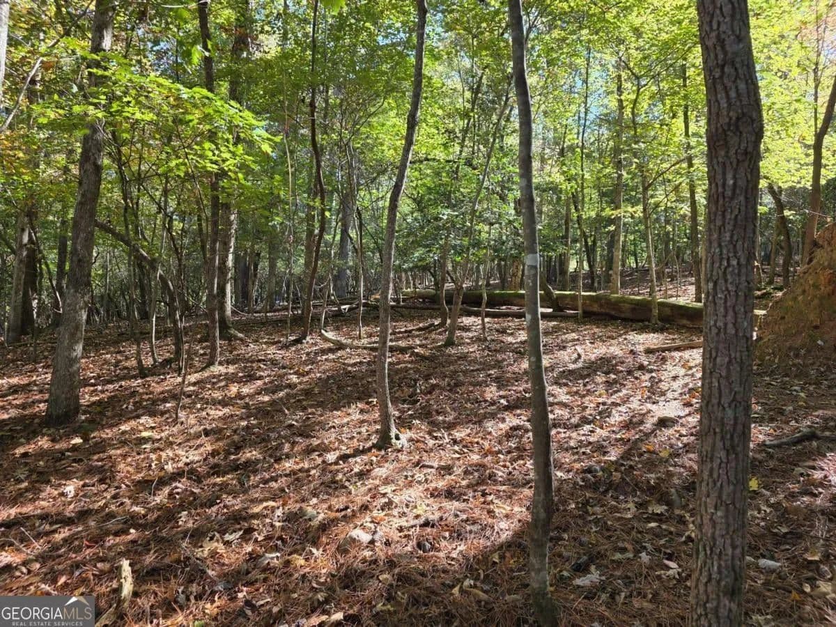 Lots & Land-Other in Ellijay - Ellijay, Georgia, 30540