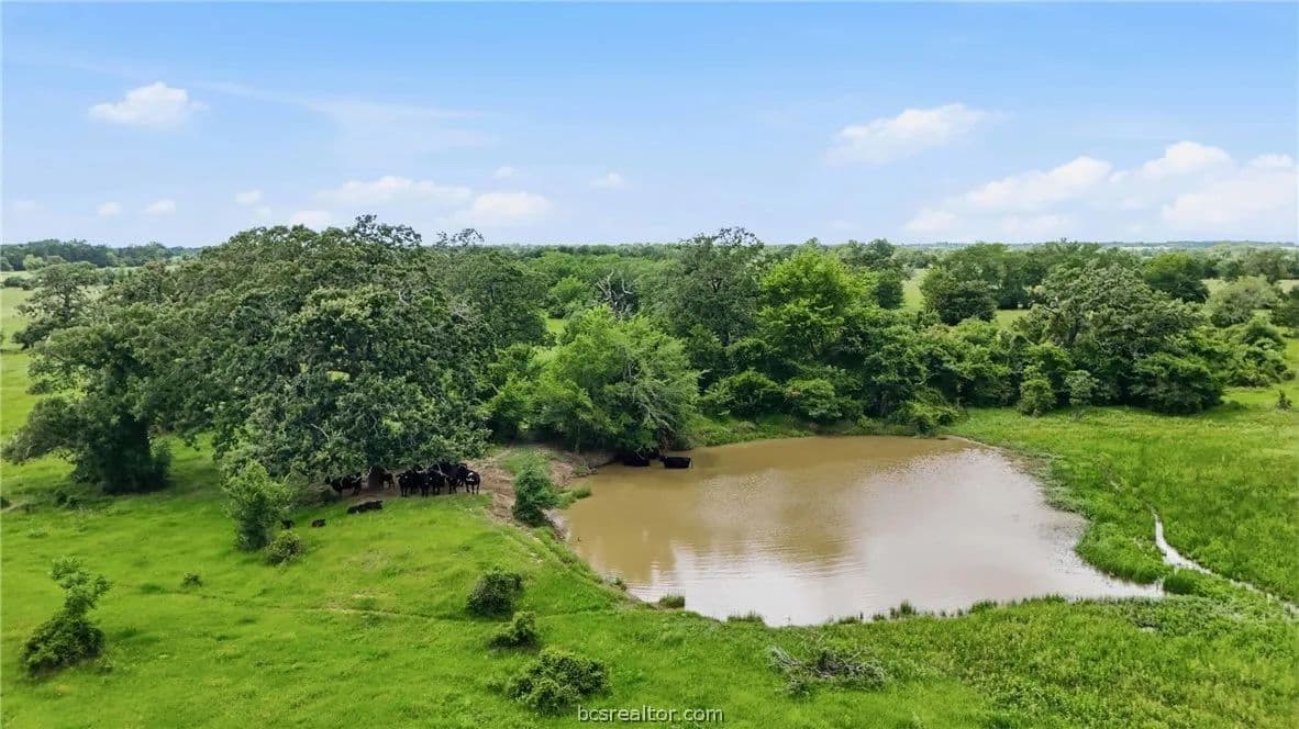 13.99 Acres of Land for Sale in Franklin, TX - Franklin, Texas, 77856