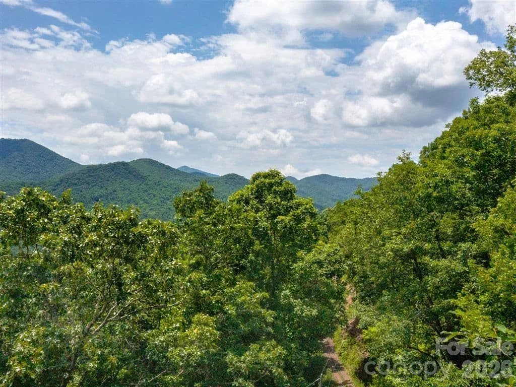 Lots & Land-Other in Sylva - Sylva, North Carolina, 28779