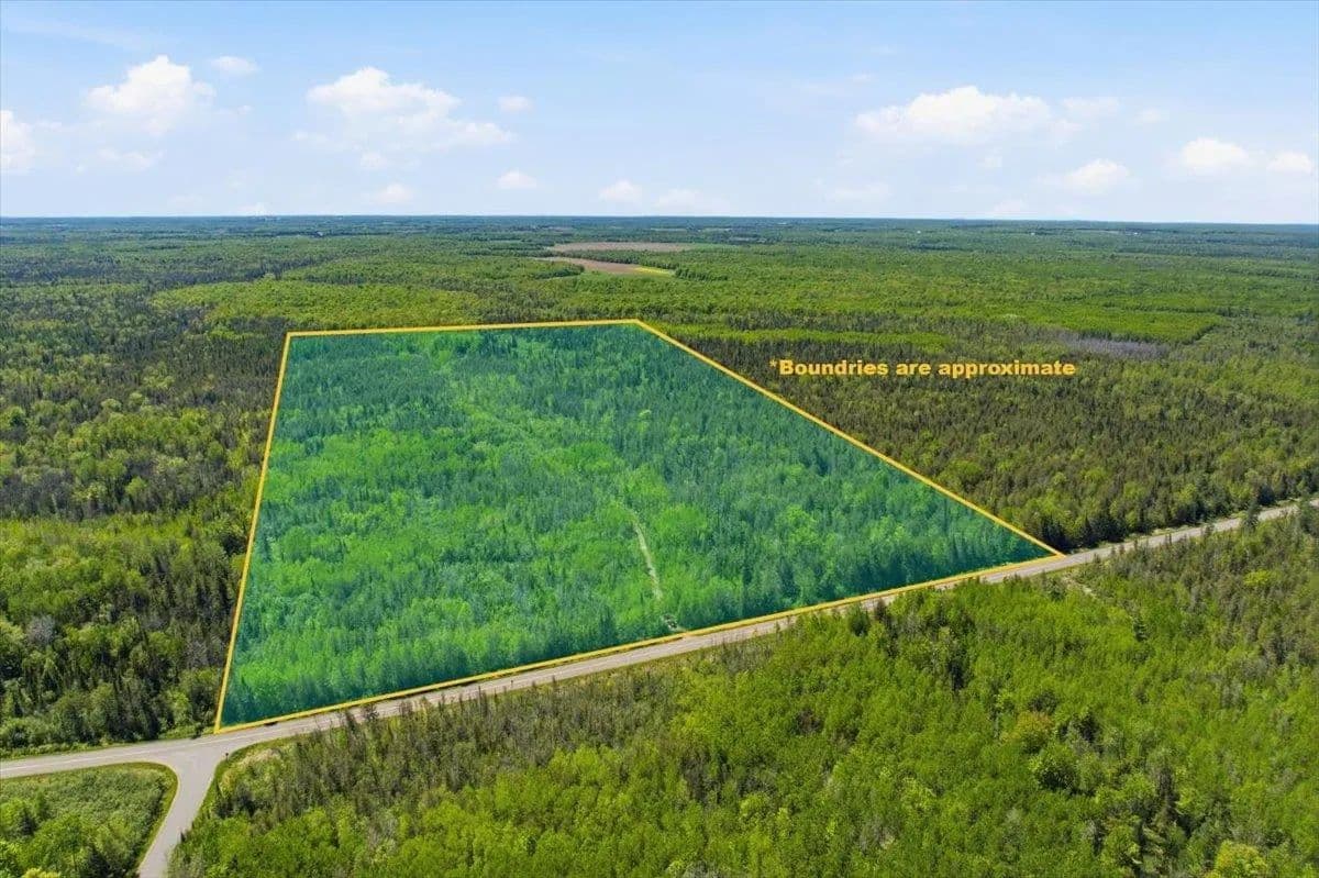 91.69 Acres of Land for Sale in Peck, Wisconsin - Peck, Wisconsin, 54424