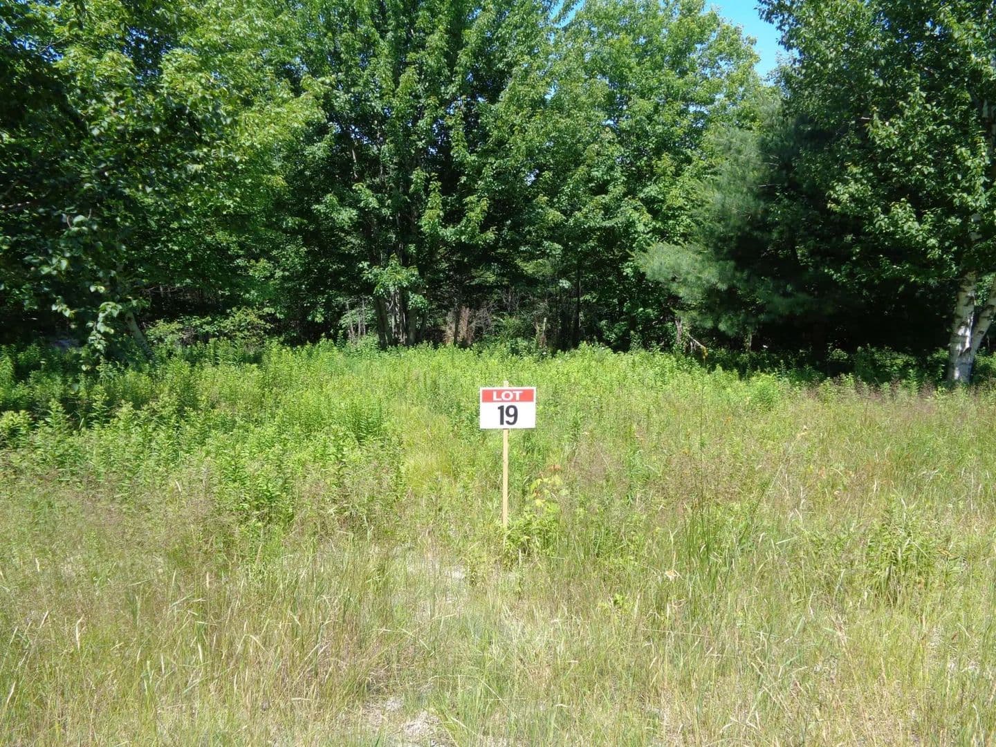 Land -Single Family Acreage in Franklin - Franklin, Maine, 04634